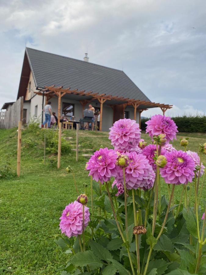 Apartmany U Mateje Dolní Morava Buitenkant foto