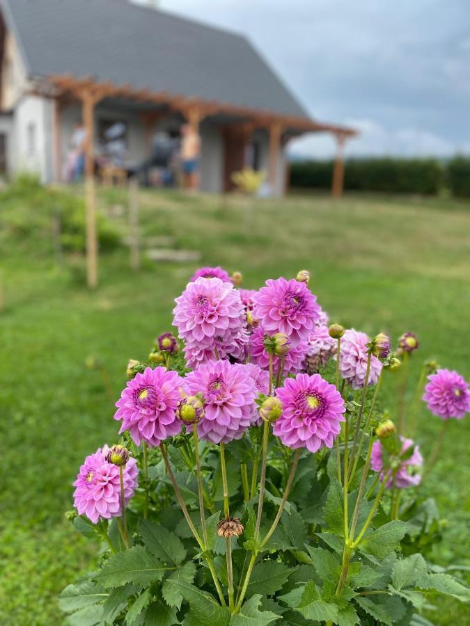 Apartmany U Mateje Dolní Morava Buitenkant foto
