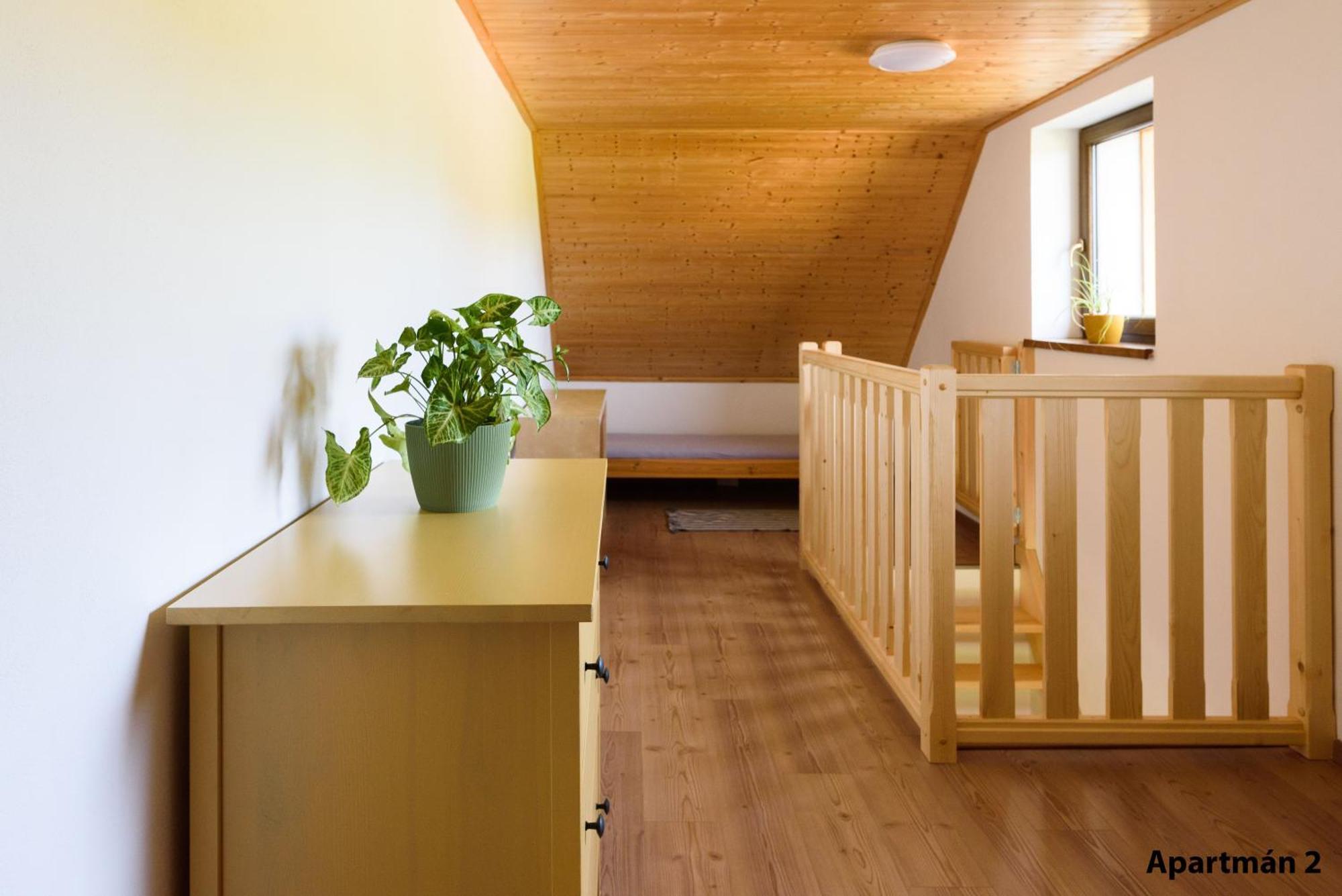 Apartmany U Mateje Dolní Morava Buitenkant foto